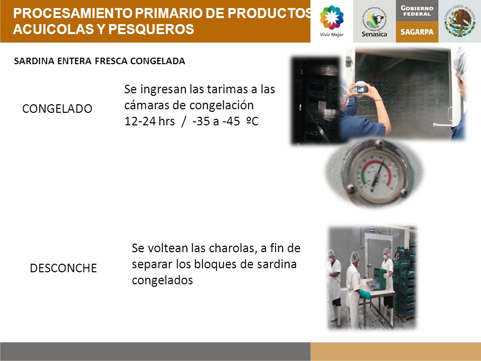 PROCESAMIENTO PRIMARIO DE PRODUCTOS ACUICOLAS Y PESQUEROS