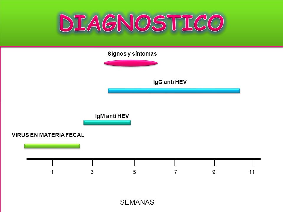 DIAGNOSTICO SEMANAS Signos y síntomas IgG anti HEV IgM anti HEV