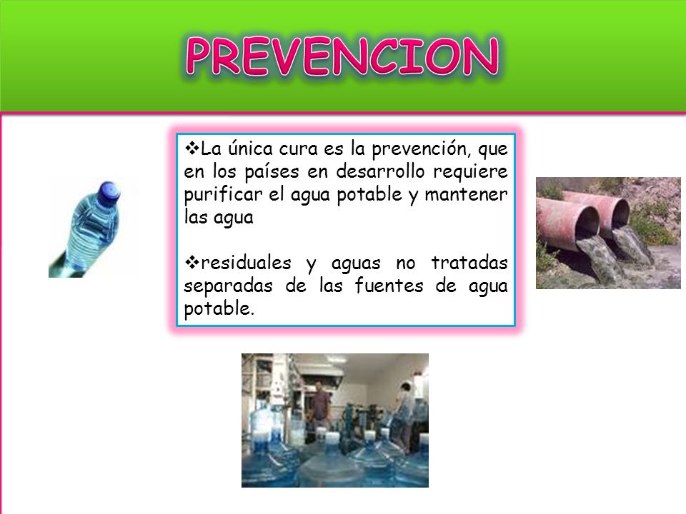 PREVENCION La única cura es la prevención, que en los países en desarrollo requiere purificar el agua potable y mantener las agua.