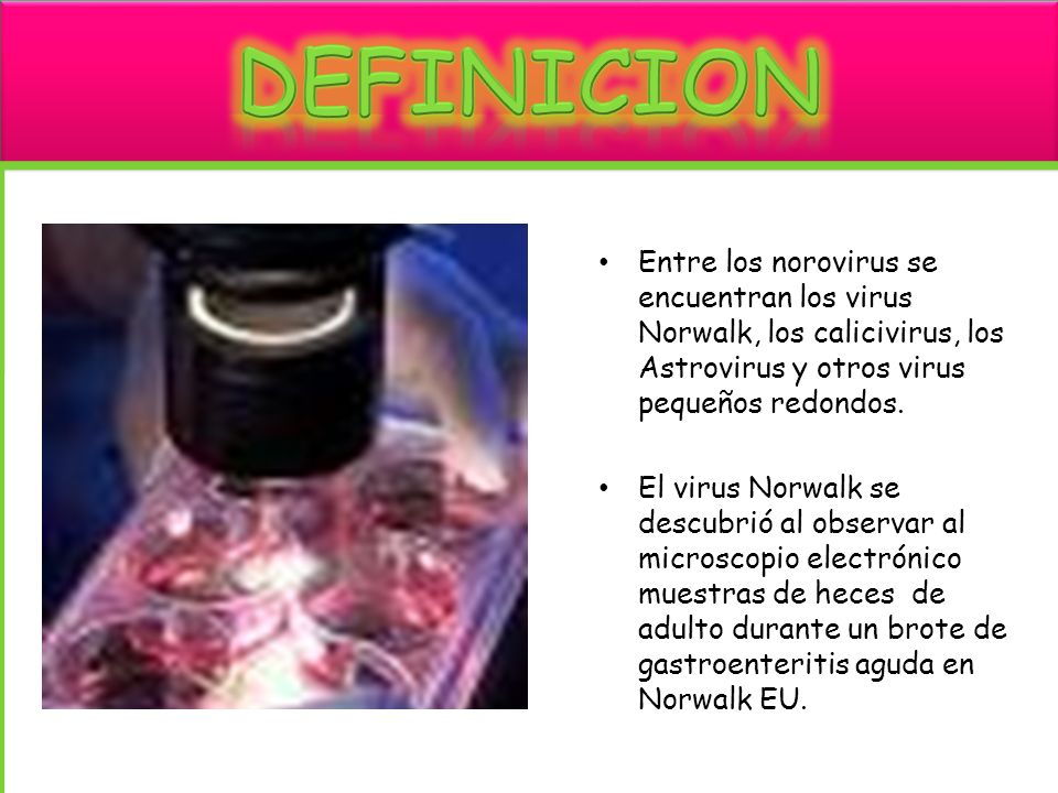 definicion Entre los norovirus se encuentran los virus Norwalk, los calicivirus, los Astrovirus y otros virus pequeños redondos.