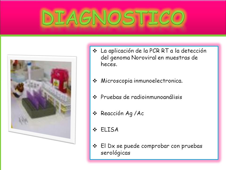 DIAGNOSTICO La aplicación de la PCR RT a la detección del genoma Noroviral en muestras de heces. Microscopia inmunoelectronica.