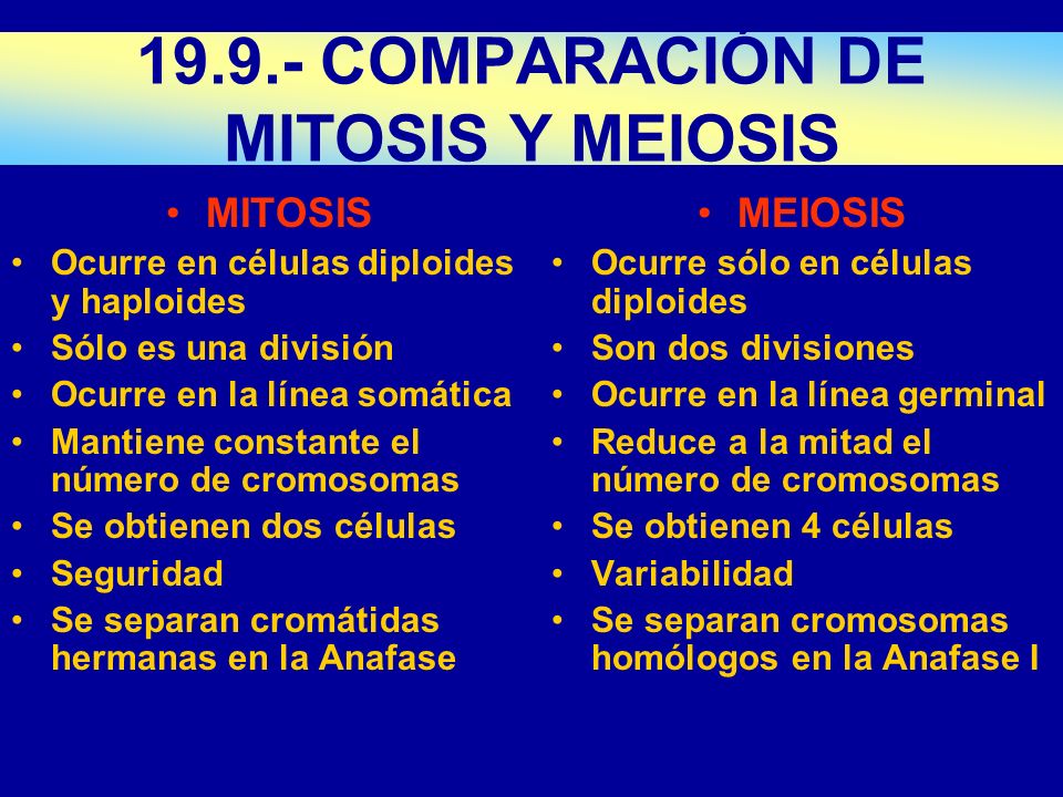 COMPARACIÓN DE MITOSIS Y MEIOSIS