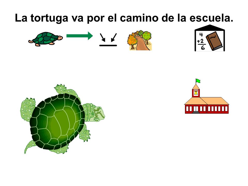 La tortuga va por el camino de la escuela.