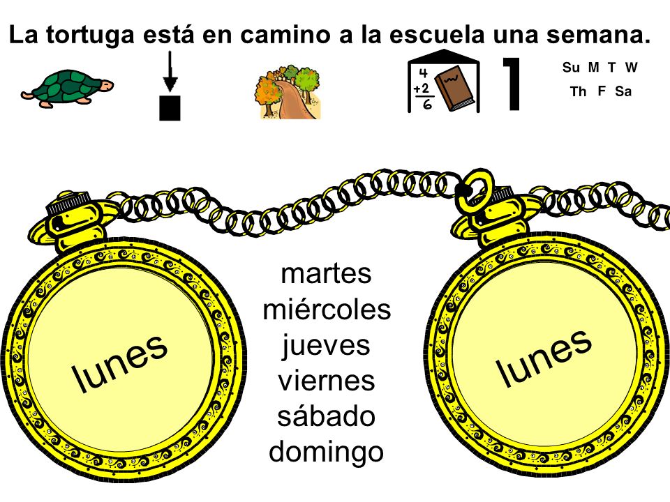 La tortuga está en camino a la escuela una semana.