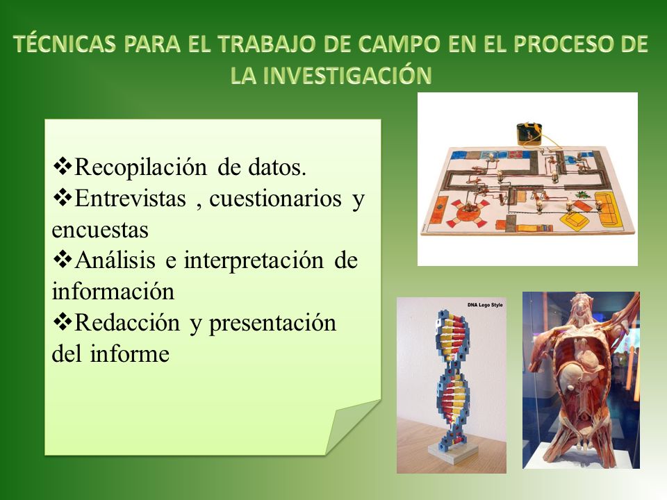 TÉCNICAS PARA EL TRABAJO DE CAMPO EN EL PROCESO DE LA INVESTIGACIÓN