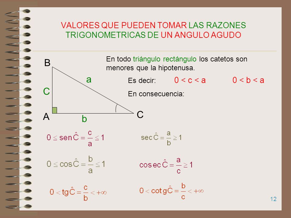 VALORES QUE PUEDEN TOMAR LAS RAZONES TRIGONOMETRICAS DE UN ANGULO AGUDO