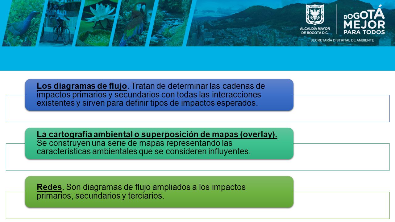 Los diagramas de flujo. Tratan de determinar las cadenas de impactos primarios y secundarios con todas las interacciones existentes y sirven para definir tipos de impactos esperados.