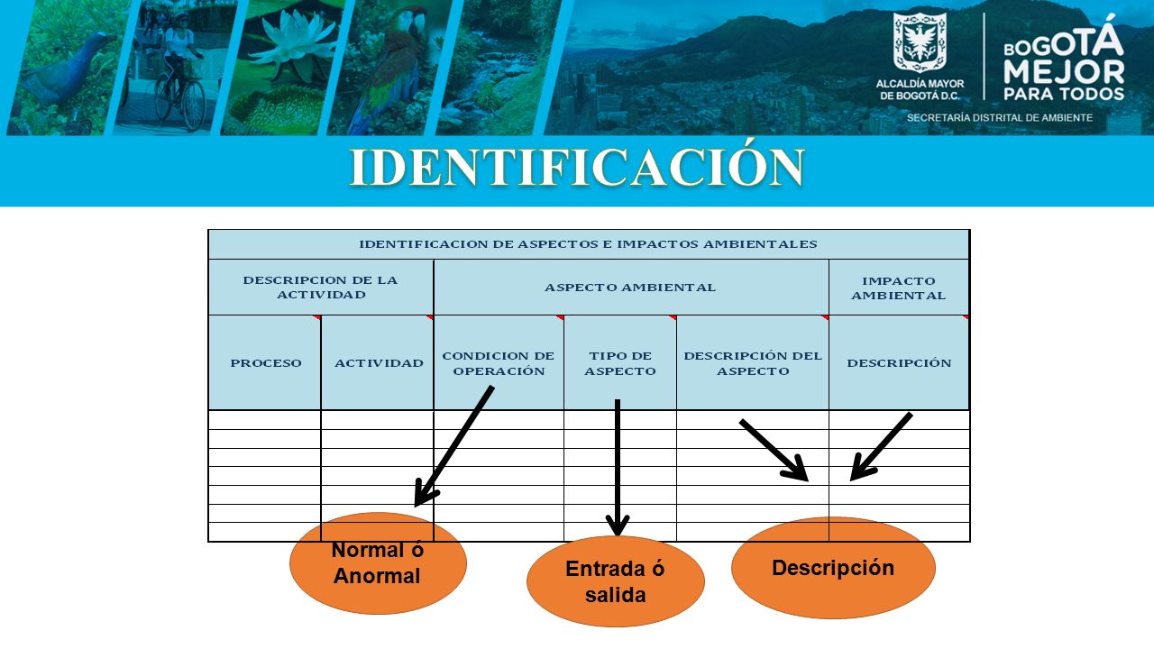 IDENTIFICACIÓN Normal ó Anormal Descripción Entrada ó salida