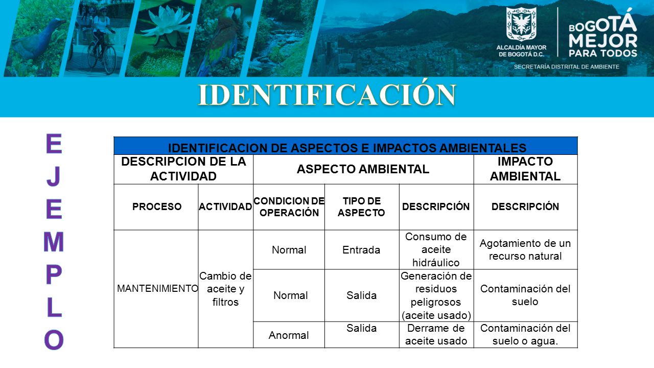 IDENTIFICACIÓN E J M P L O