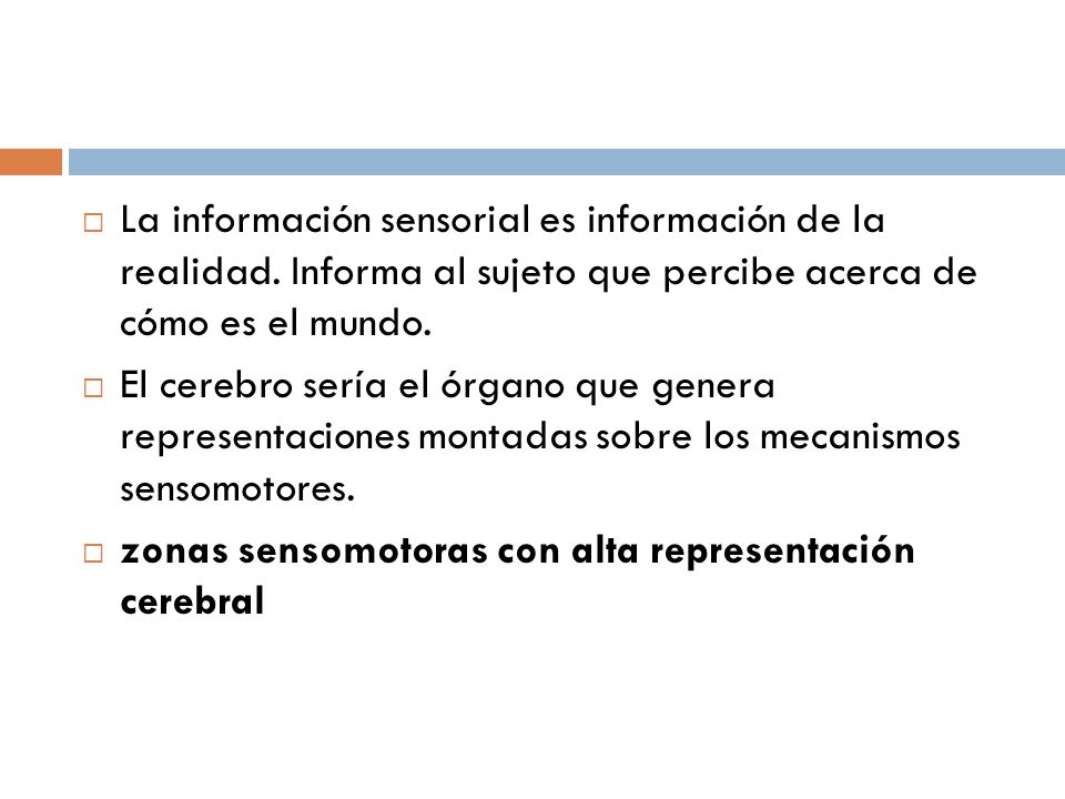 La información sensorial es información de la realidad