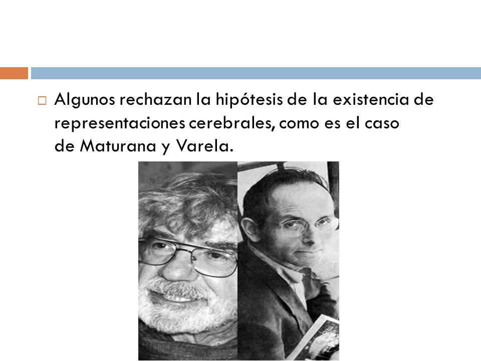 Algunos rechazan la hipótesis de la existencia de representaciones cerebrales, como es el caso de Maturana y Varela.