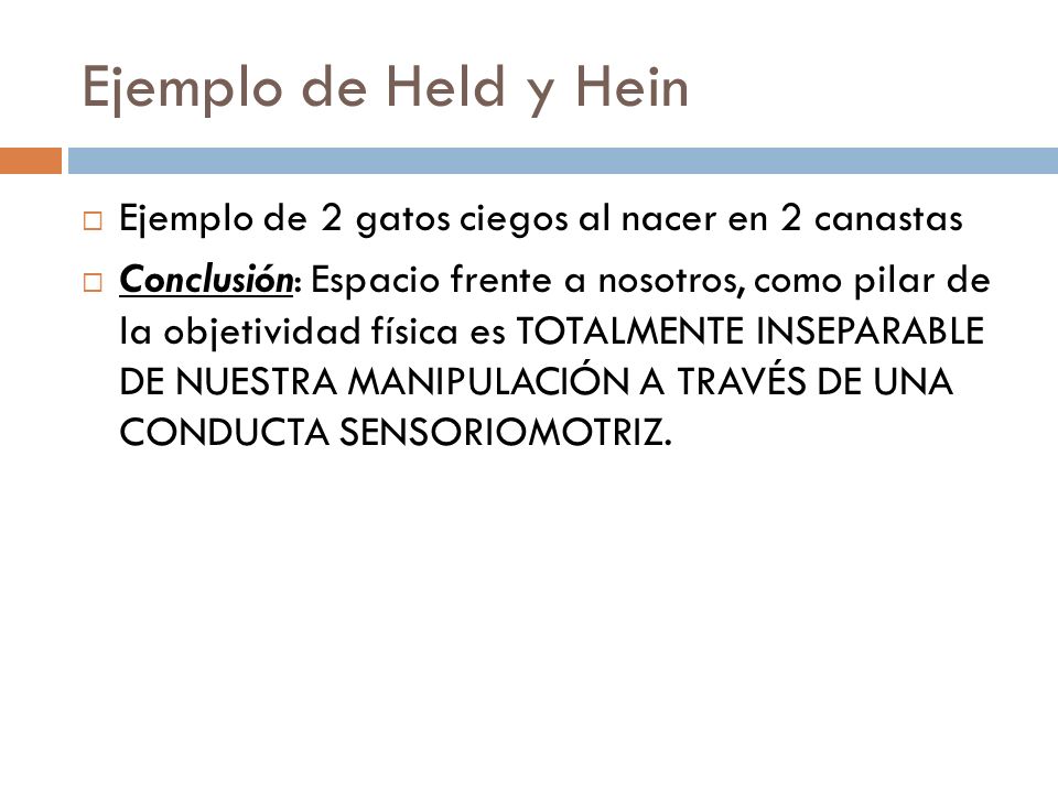 Ejemplo de Held y Hein Ejemplo de 2 gatos ciegos al nacer en 2 canastas.