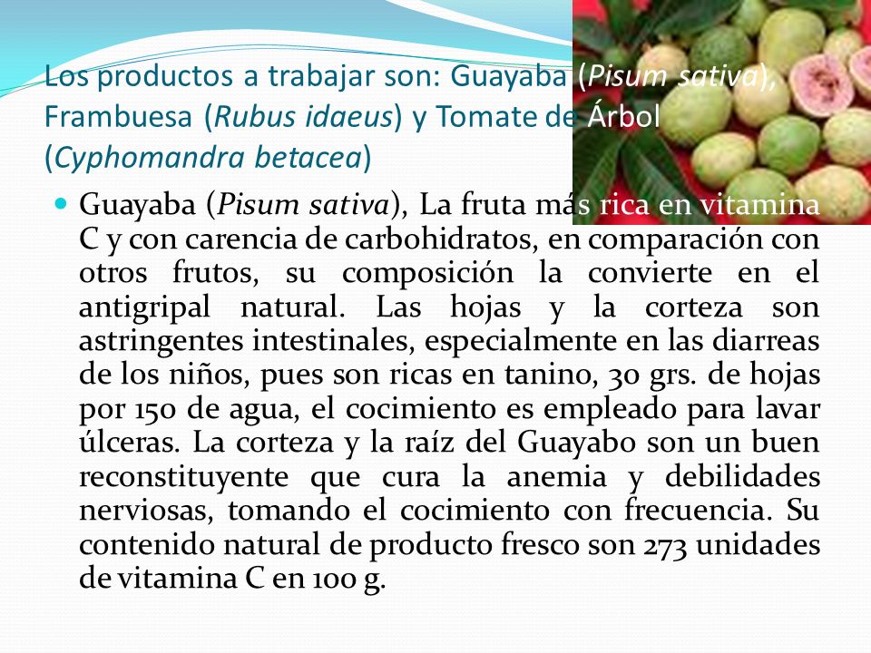 Los productos a trabajar son: Guayaba (Pisum sativa), Frambuesa (Rubus idaeus) y Tomate de Árbol (Cyphomandra betacea)