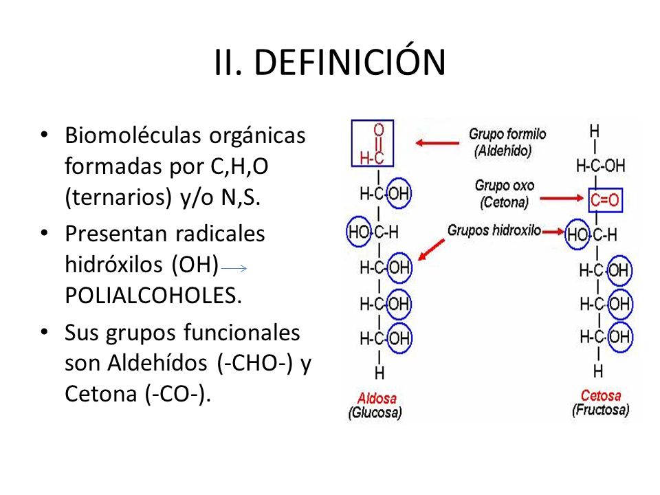 II. DEFINICIÓN Biomoléculas orgánicas formadas por C,H,O (ternarios) y/o N,S. Presentan radicales hidróxilos (OH) POLIALCOHOLES.