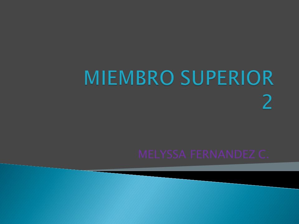 MIEMBRO SUPERIOR 2 MELYSSA FERNANDEZ C.