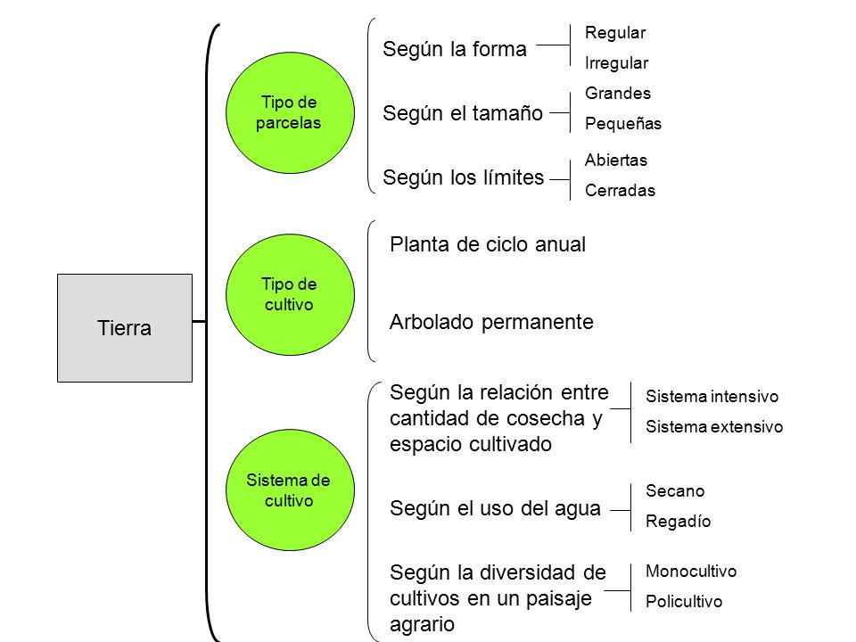 Según la relación entre cantidad de cosecha y espacio cultivado