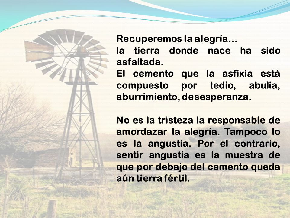 Recuperemos la alegría… la tierra donde nace ha sido asfaltada.