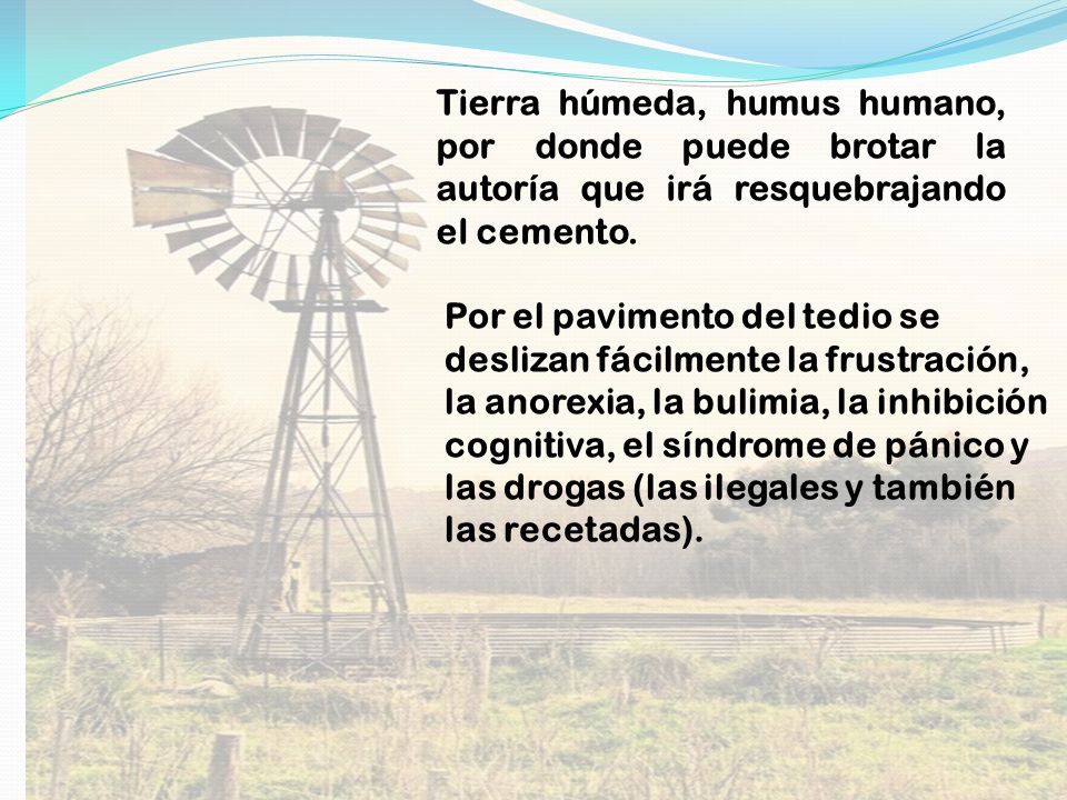 Tierra húmeda, humus humano, por donde puede brotar la autoría que irá resquebrajando el cemento.