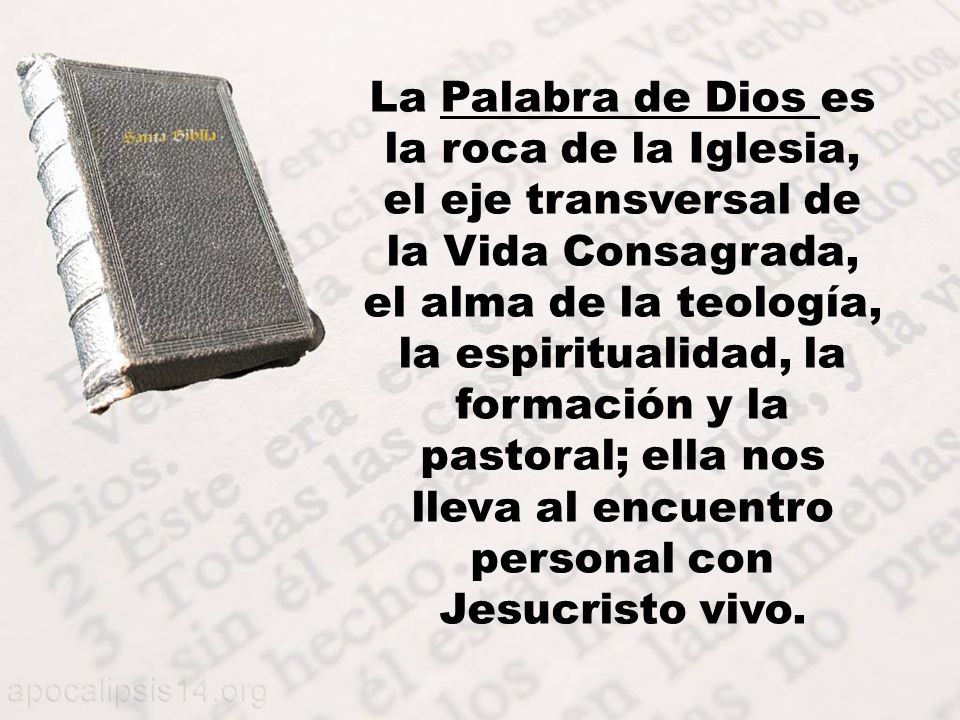 La Palabra de Dios es la roca de la Iglesia, el eje transversal de la Vida Consagrada, el alma de la teología, la espiritualidad, la formación y la pastoral; ella nos lleva al encuentro personal con Jesucristo vivo.
