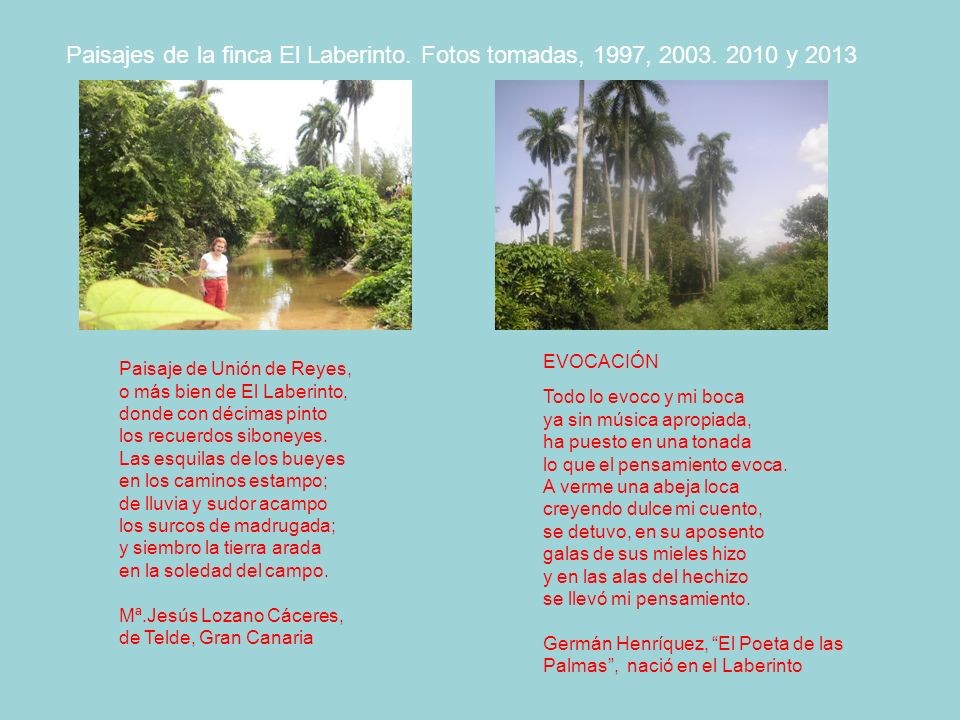 Paisajes de la finca El Laberinto. Fotos tomadas, 1997, 2003