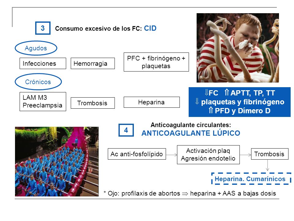 3 FC  APTT, TP, TT plaquetas y fibrinógeno  PFD y Dímero D 4