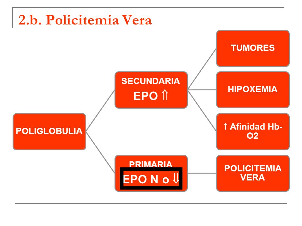 2.b. Policitemia Vera EPO N o  EPO  SECUNDARIA PRIMARIA POLIGLOBULIA
