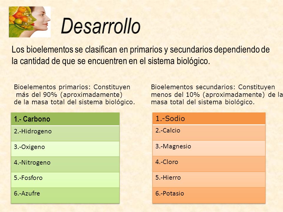 Desarrollo Los bioelementos se clasifican en primarios y secundarios dependiendo de la cantidad de que se encuentren en el sistema biológico.