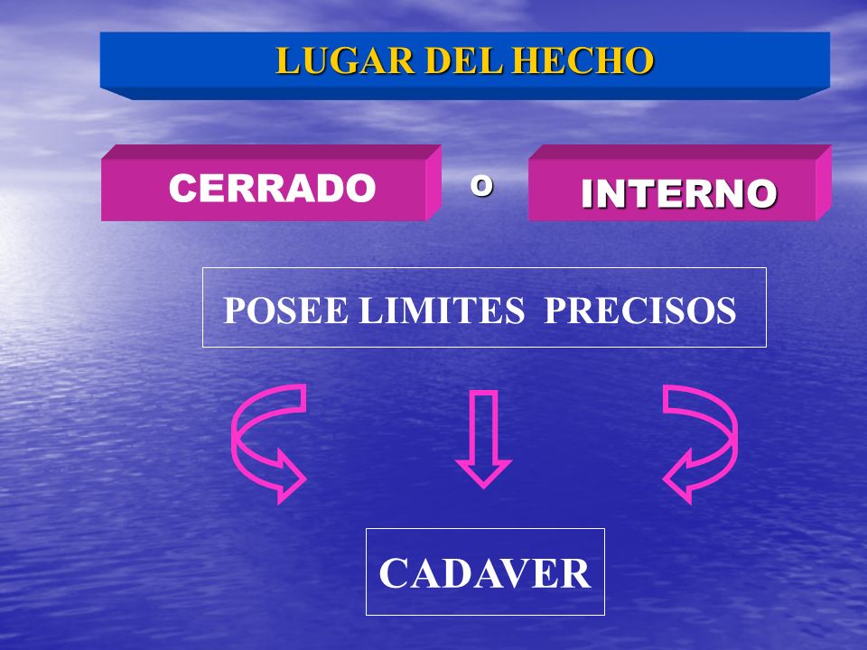 LUGAR DEL HECHO CERRADO O INTERNO POSEE LIMITES PRECISOS CADAVER