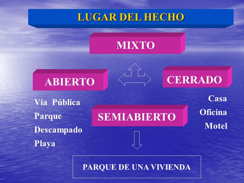 LUGAR DEL HECHO MIXTO CERRADO ABIERTO SEMIABIERTO Casa Vía Pública