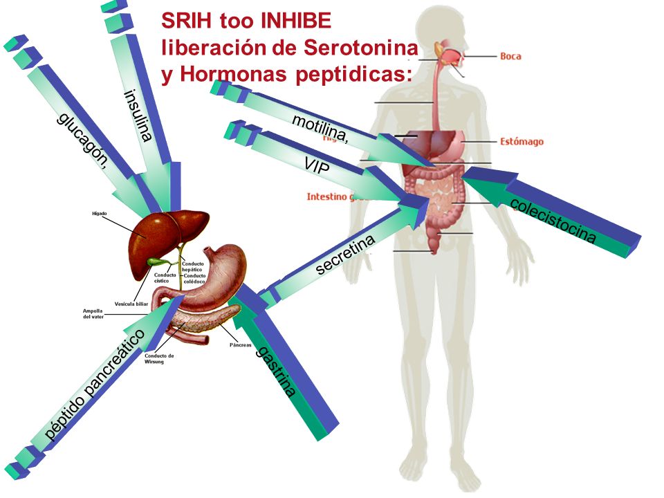 SRIH too INHIBE liberación de Serotonina y Hormonas peptidicas: