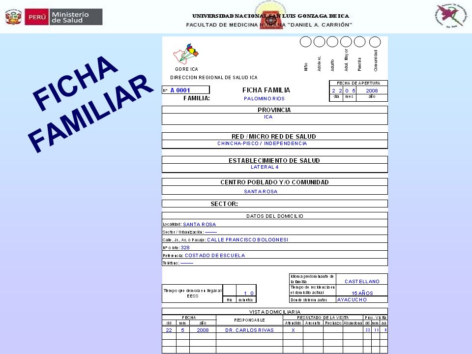 FICHA FAMILIAR ¿Cómo es elaborada De manera acumulativa, durante una consulta o visita