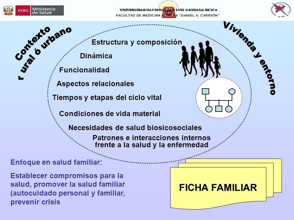 Patrones e interacciones internos frente a la salud y la enfermedad