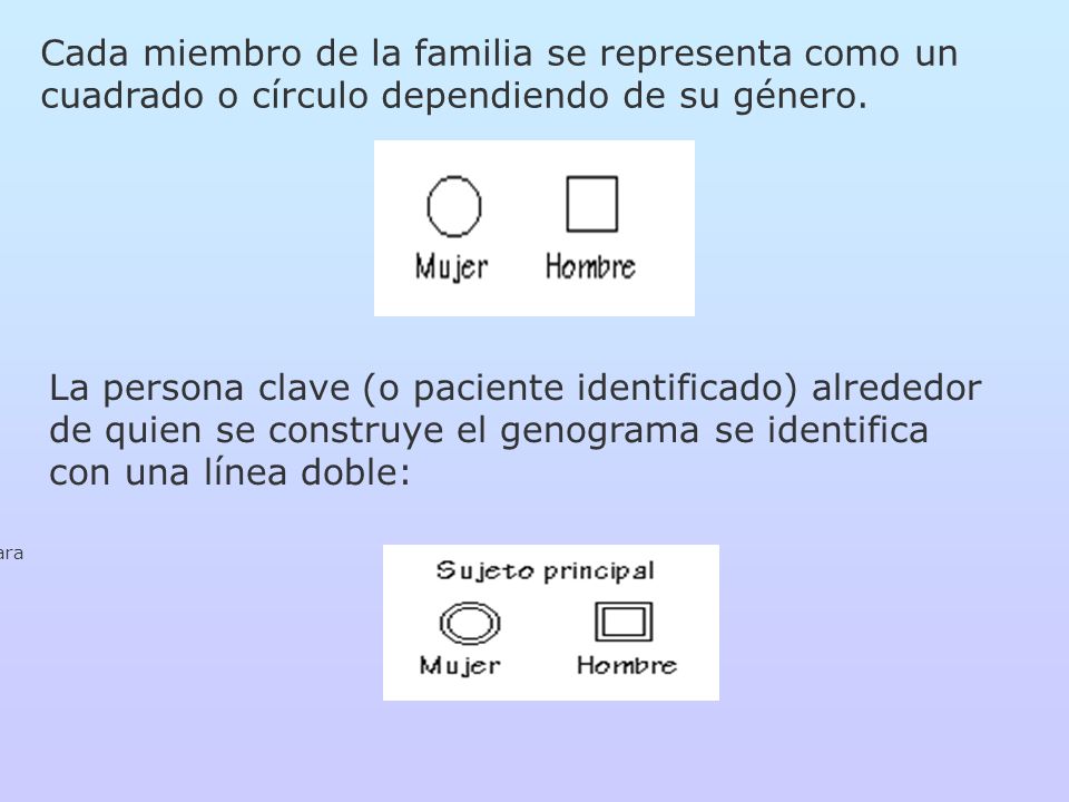 Cada miembro de la familia se representa como un cuadrado o círculo dependiendo de su género.