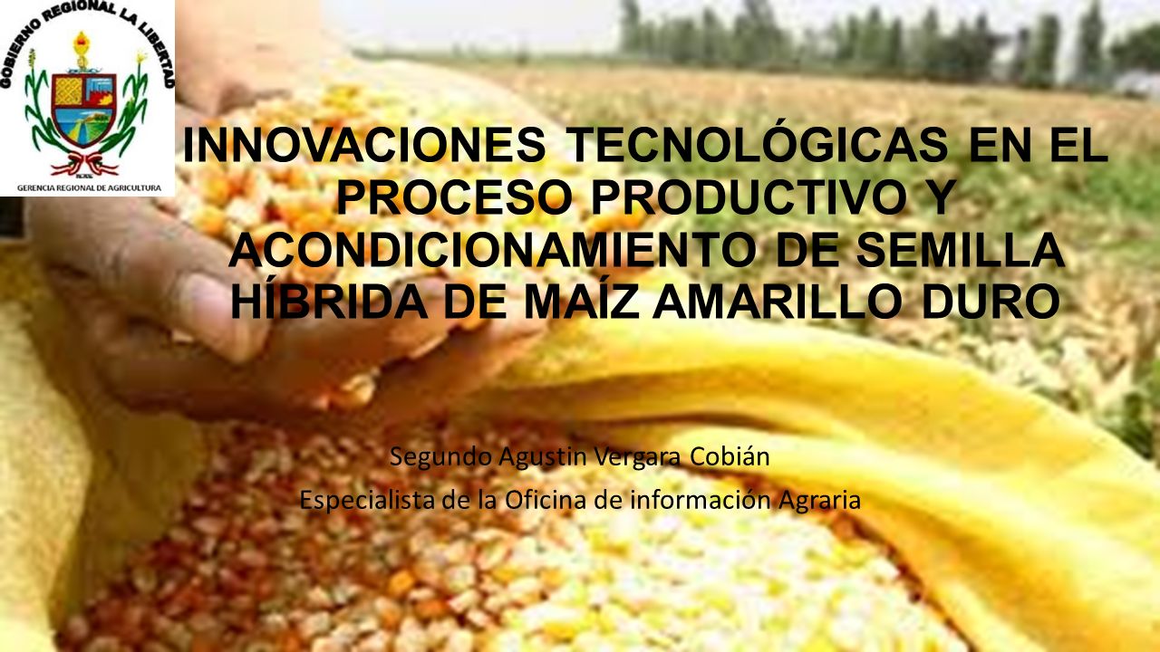 INNOVACIONES TECNOLÓGICAS EN EL PROCESO PRODUCTIVO Y ACONDICIONAMIENTO DE SEMILLA HÍBRIDA DE MAÍZ AMARILLO DURO