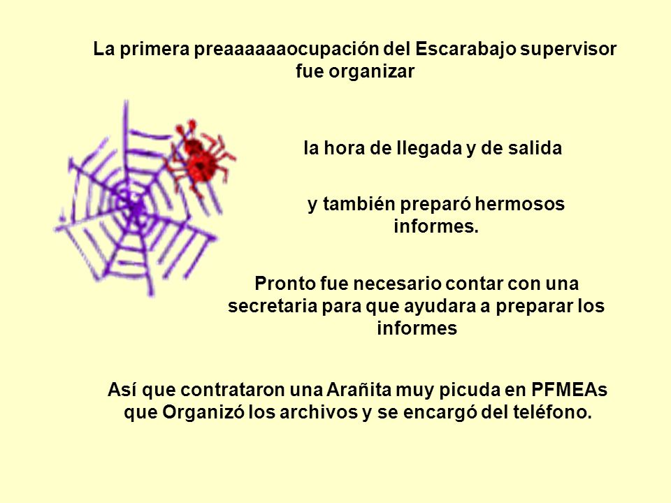 La primera preaaaaaaocupación del Escarabajo supervisor fue organizar