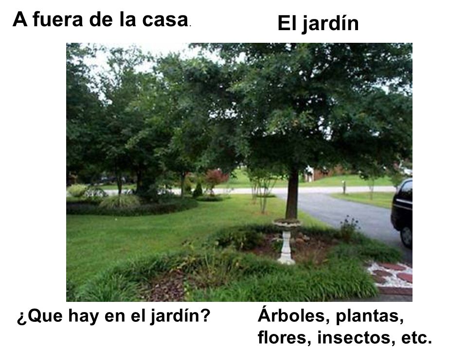 A fuera de la casa. El jardín ¿Que hay en el jardín
