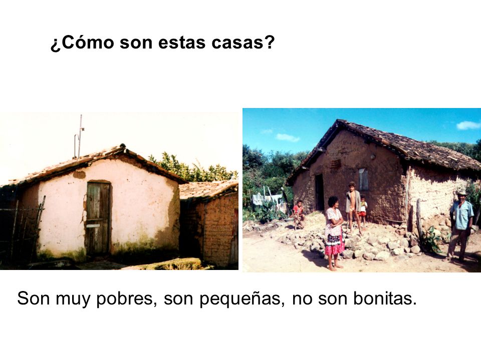¿Cómo son estas casas Son muy pobres, son pequeñas, no son bonitas.