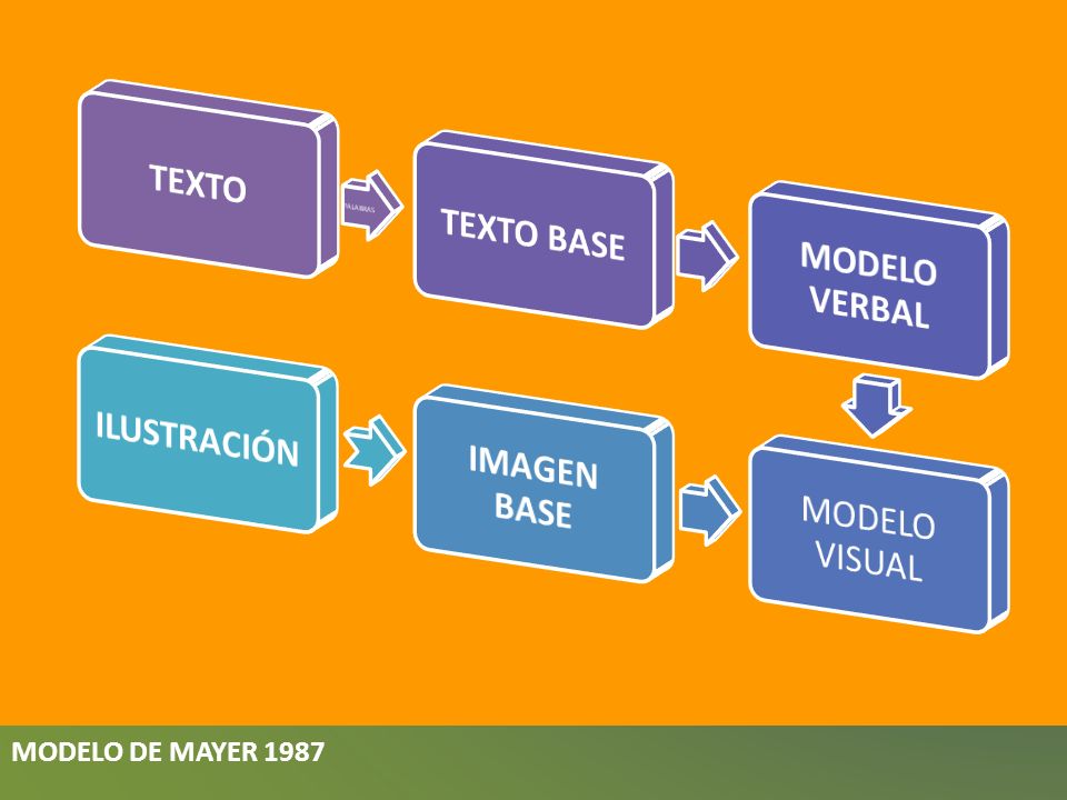 MODELO DE MAYER 1987 TEXTO TEXTO BASE MODELO VERBAL MODELO VISUAL
