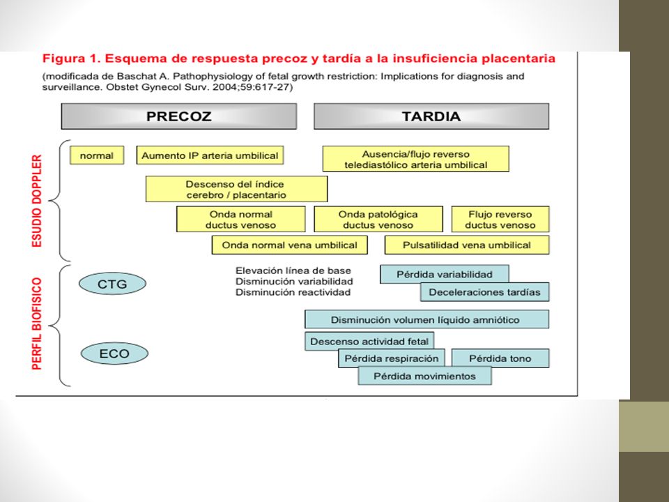Se postula que la progresión de los cambios cardiovasculares precede a un PBF anómalo o a la aparición de deceleraciones en la CTG