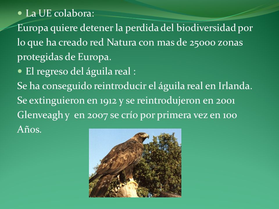 La UE colabora: Europa quiere detener la perdida del biodiversidad por. lo que ha creado red Natura con mas de zonas.