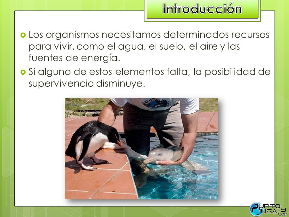 Introducción Los organismos necesitamos determinados recursos para vivir, como el agua, el suelo, el aire y las fuentes de energía.