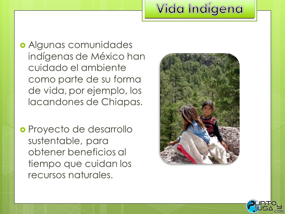Vida Indígena Algunas comunidades indígenas de México han cuidado el ambiente como parte de su forma de vida, por ejemplo, los lacandones de Chiapas.