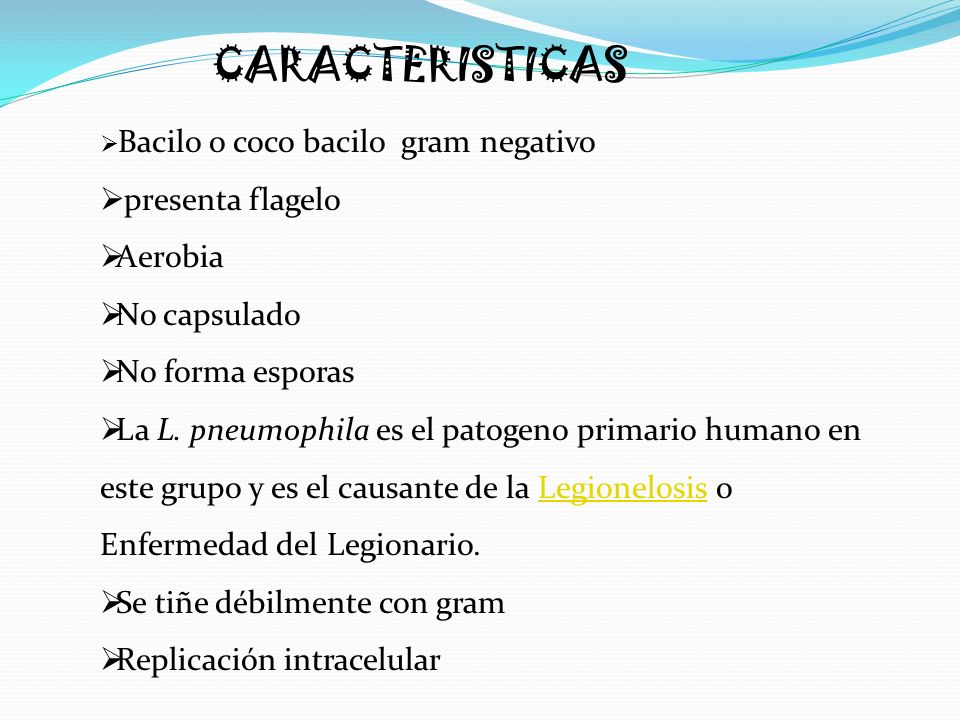 CARACTERISTICAS presenta flagelo Aerobia No capsulado No forma esporas