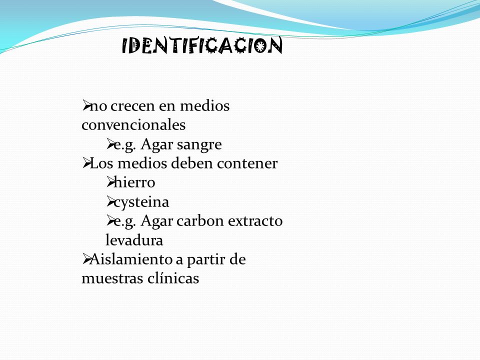 IDENTIFICACION no crecen en medios convencionales e.g. Agar sangre