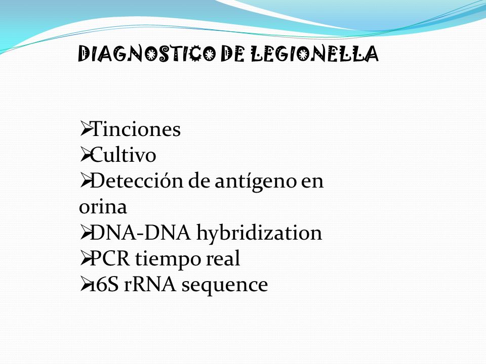 Detección de antígeno en orina DNA-DNA hybridization PCR tiempo real