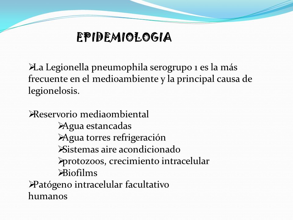EPIDEMIOLOGIA La Legionella pneumophila serogrupo 1 es la más frecuente en el medioambiente y la principal causa de legionelosis.