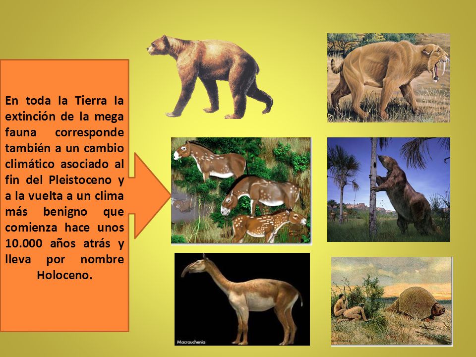 En toda la Tierra la extinción de la mega fauna corresponde también a un cambio climático asociado al fin del Pleistoceno y a la vuelta a un clima más benigno que comienza hace unos años atrás y lleva por nombre Holoceno.