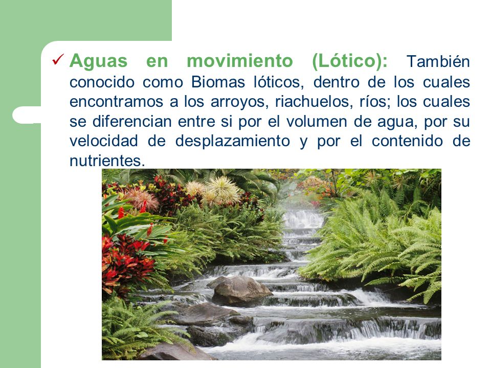 Aguas en movimiento (Lótico): También conocido como Biomas lóticos, dentro de los cuales encontramos a los arroyos, riachuelos, ríos; los cuales se diferencian entre si por el volumen de agua, por su velocidad de desplazamiento y por el contenido de nutrientes.