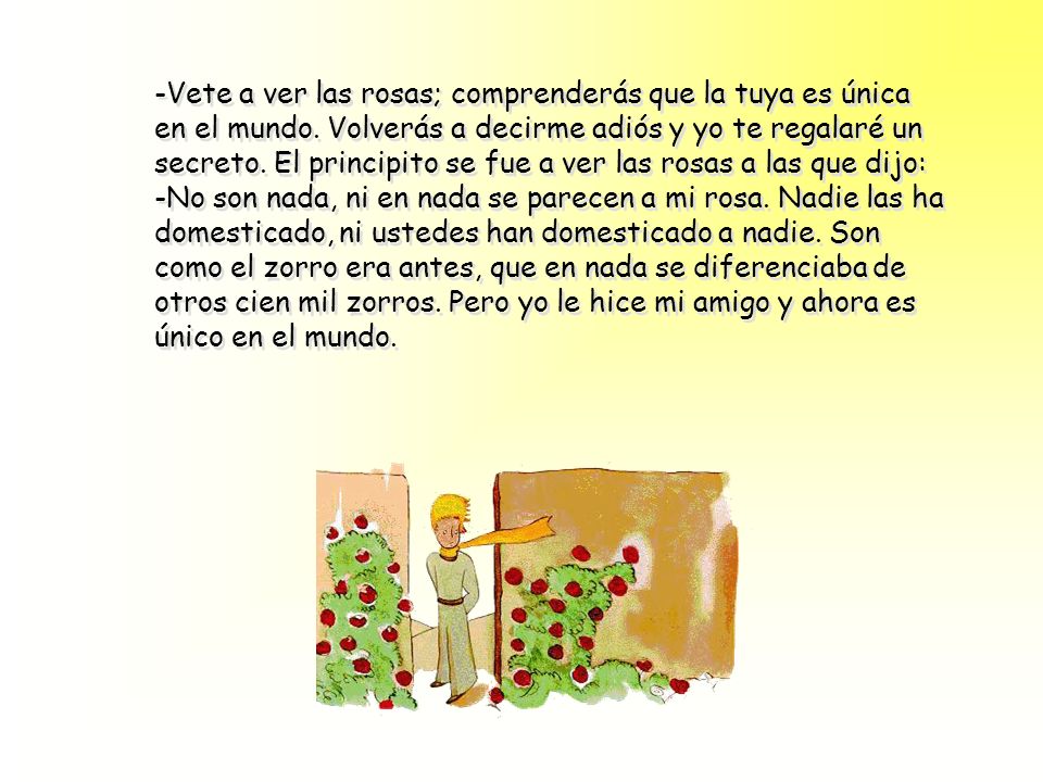 -Vete a ver las rosas; comprenderás que la tuya es única en el mundo