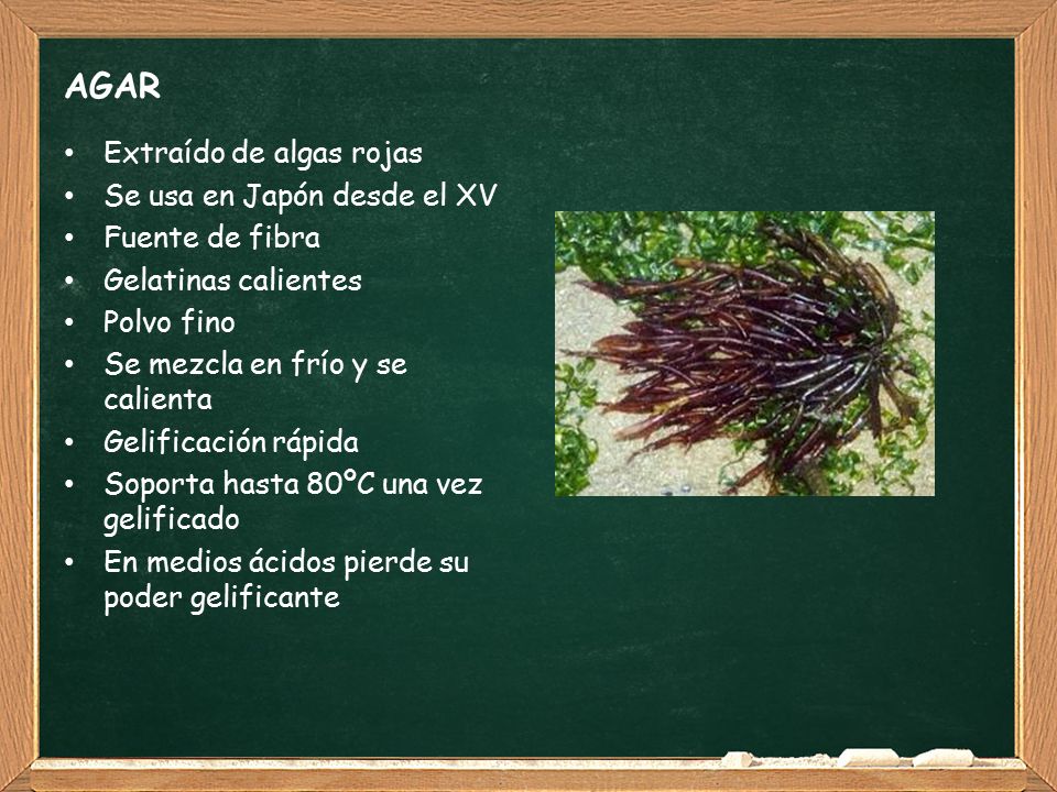 AGAR Extraído de algas rojas Se usa en Japón desde el XV